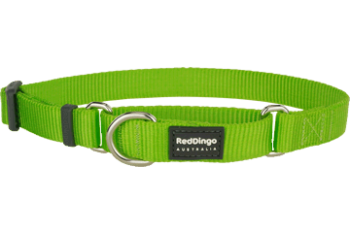 Hondenhalsband nylon correctie Lime Green