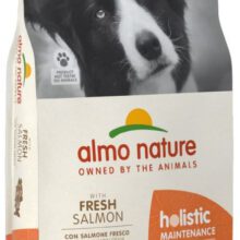 AN Holistic Dog M Zalm & Rijst