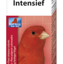 Intensief Rood