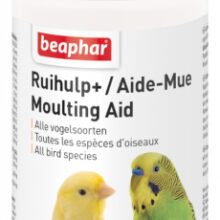 Rui-Hulp+