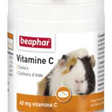 Vitamine C Tabletten Cavia's