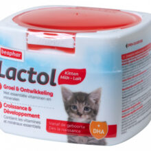Lactol Kitty Milk