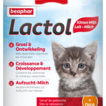 Lactol Kitty Milk