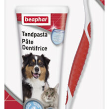 Tandpasta/Borstel Combipack