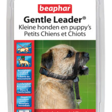 Gentle Leader Small Zwart