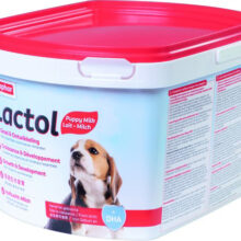 Lactol Puppy Milk