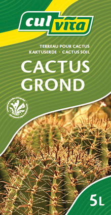 Cactusgrond
