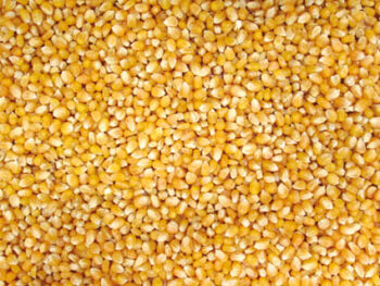 Mais Popcorn