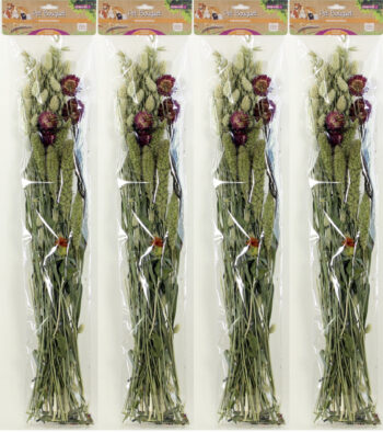 Pet Bouquet Weidegewas