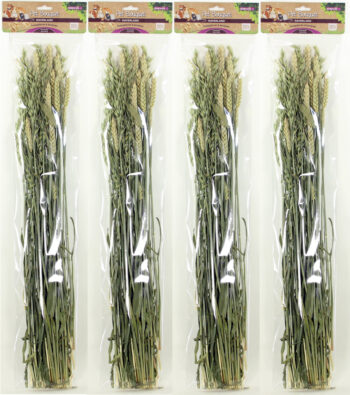 Pet Bouquet Haverland