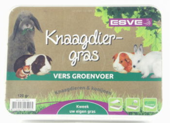 Knaagdiergras