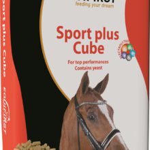 EquiFirst Sport Plus Cube