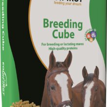 EquiFirst Breeding Cube
