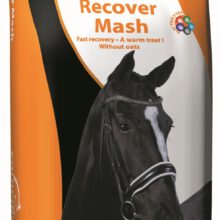 EquiFirst Recover Mash