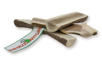 Farm Food Antlers easy M