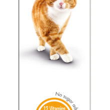 GimCat Multi-Vitamin Pasta