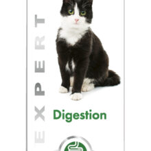 GimCat Gastro Intestinal Pasta