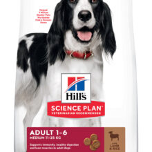Hills Canine Lamb/Rice