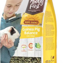 HF Guinea Pig Balance