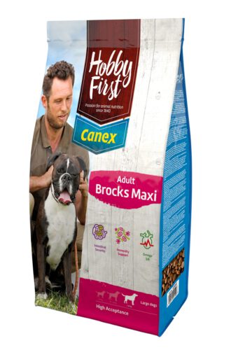 HobbyFirst Adult Maxi Brocks