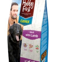 HobbyFirst Adult Lam
