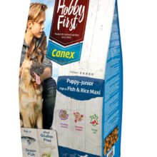 HobbyFirst Pup/Jun F&R Maxi
