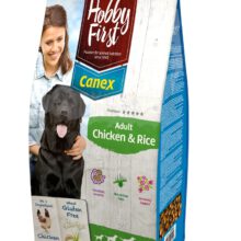 HobbyFirst Adult Chicken & Rice