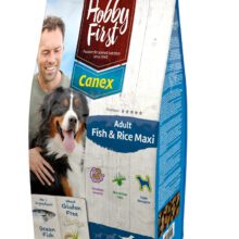 HobbyFirst Adult Fish & Rice Maxi