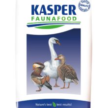 Flamingokorrel Floating