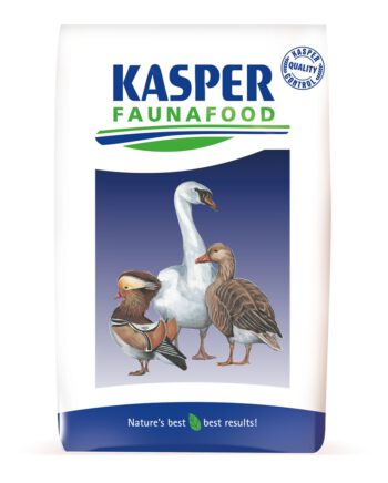 Flamingokorrel Floating