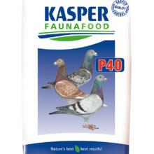 P 40 Krachtvoer voor Duiven