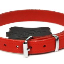 Halsband Croupon Rood