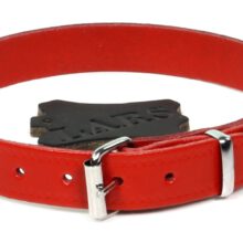 Halsband Croupon Rood
