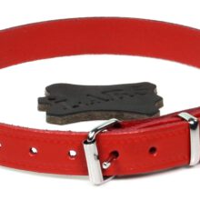 Halsband Croupon Rood