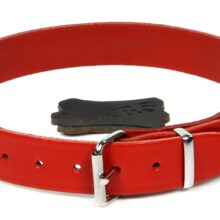 Halsband Croupon Rood