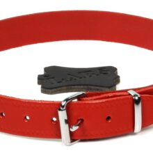 Halsband Croupon Rood