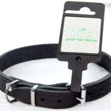 Halsband Vetleer Zwart