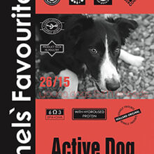Kennels Fav. Active Dog