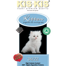 KiS-KiS Kitten