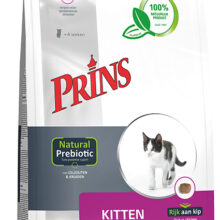 Prins Protection Cat Kitten