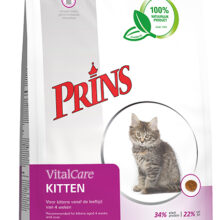 Prins Cat Kitten Prem.