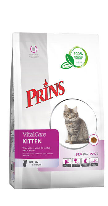 Prins Cat Kitten Prem.