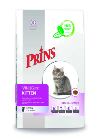 Prins Cat Kitten