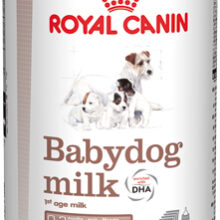 Babydog Milk