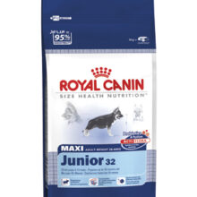 Maxi Junior 32