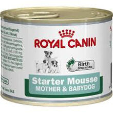RC Dog Blik Starter Mousse