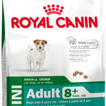 Mini Adult +8