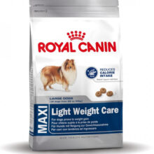 Maxi Light Weight Care