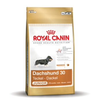 Dachshund 30 Junior