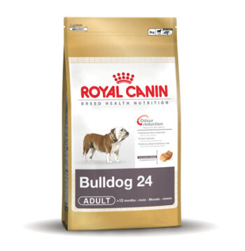 Bulldog 24 Adult